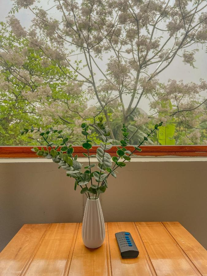 Cosiana Homestay ニンビン エクステリア 写真